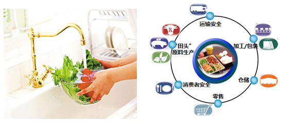 食品安全檢測(cè)解決方案